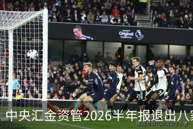 中央汇金资管2026半年报退出八家火电上市公司前十大股东名单！