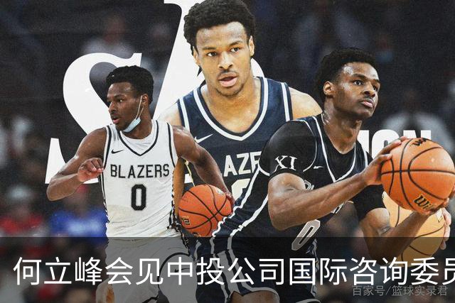 何立峰会见中投公司国际咨询委员会委员