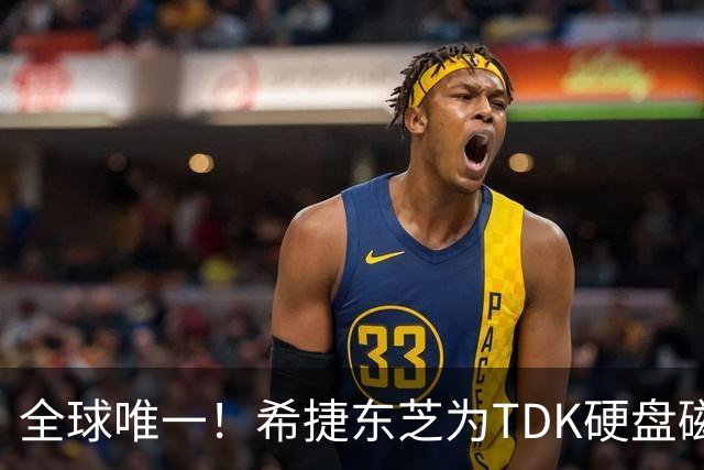 全球唯一！希捷东芝为TDK硬盘磁头业务抢破头：东芝命脉要被掐断