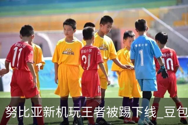 努比亚新机玩王者被踢下线 豆包助手致歉：不存在外挂