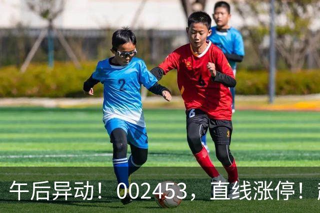 午后异动！002453，直线涨停！超24万手买单封板