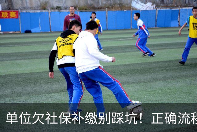 单位欠社保补缴别踩坑！正确流程：单位申报，个人不要提前转钱