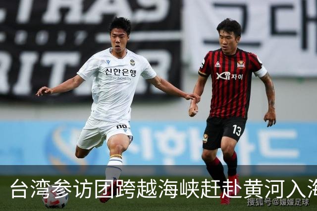 台湾参访团跨越海峡赶赴黄河入海口奔跑盛会