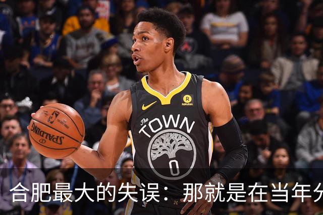 合肥最大的失误：那就是在当年分巢湖的时候，竟然没有拿下无为县