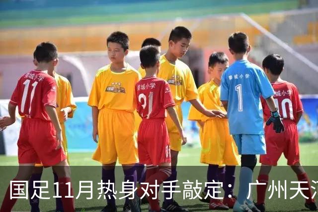 国足11月热身对手敲定：广州天河对阵马来西亚及巴林