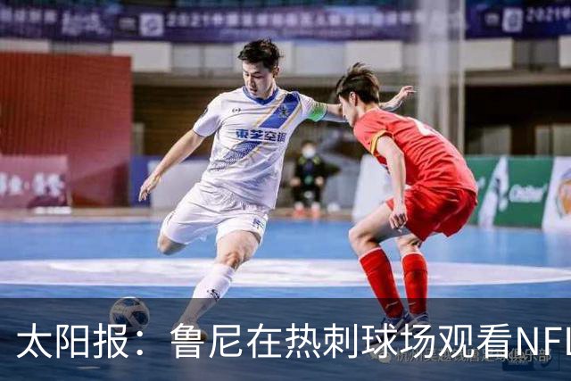 太阳报：鲁尼在热刺球场观看NFL比赛，遭到球迷嘘声对待