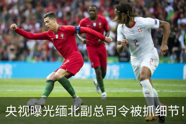 央视曝光缅北副总司令被抓细节！武装高官撑腰，小院割肾 房顶晒钱