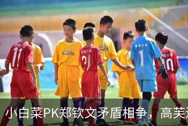 小白菜PK郑钦文矛盾相争，高芙连夜逃离伤心地，鲁内遭逆转一轮游
