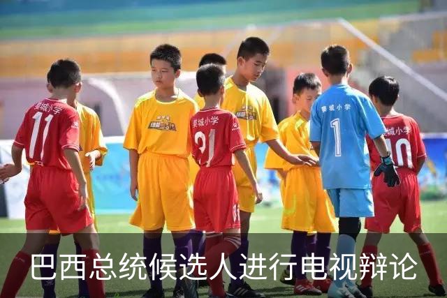 巴西总统候选人进行电视辩论
