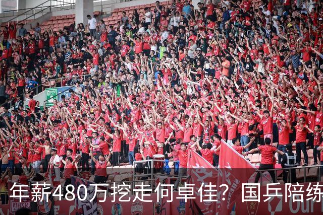 年薪480万挖走何卓佳？国乒陪练接连离队出走，原因很现实