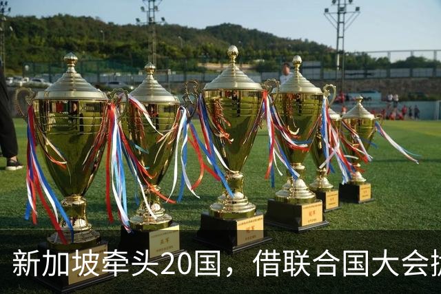 新加坡牵头20国，借联合国大会抛出诉求，试图给中美的AI立规矩？