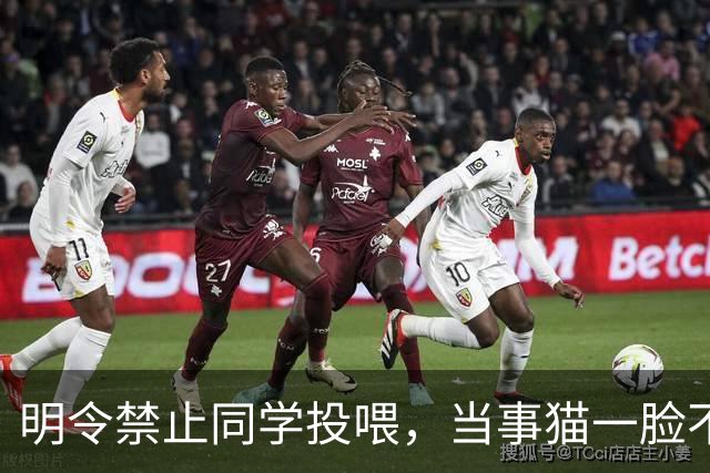 明令禁止同学投喂，当事猫一脸不爽，把“禁令”当空气！