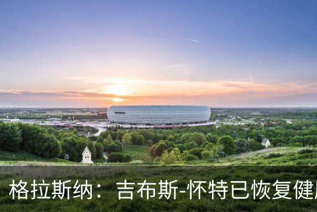 格拉斯纳：吉布斯-怀特已恢复健康，米伦科维奇也能首发