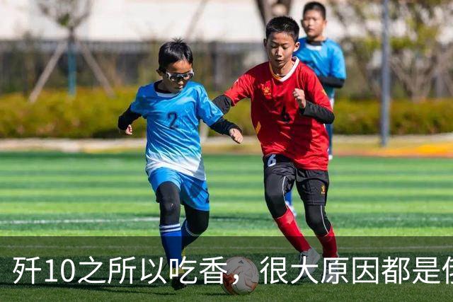 歼10之所以吃香，很大原因都是俄罗斯拿老旧飞机壳子，冒充崭新米格29战机出售，让大家伤了心！