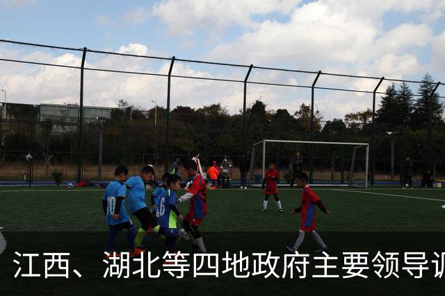 江西、湖北等四地政府主要领导调整！他曾任景德镇市副市长，他曾任江西省发改委副主任