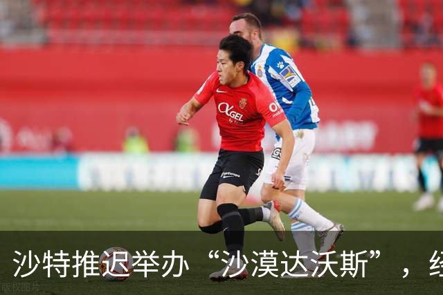 沙特推迟举办“沙漠达沃斯”，经济多元化计划遭胡塞武装打击