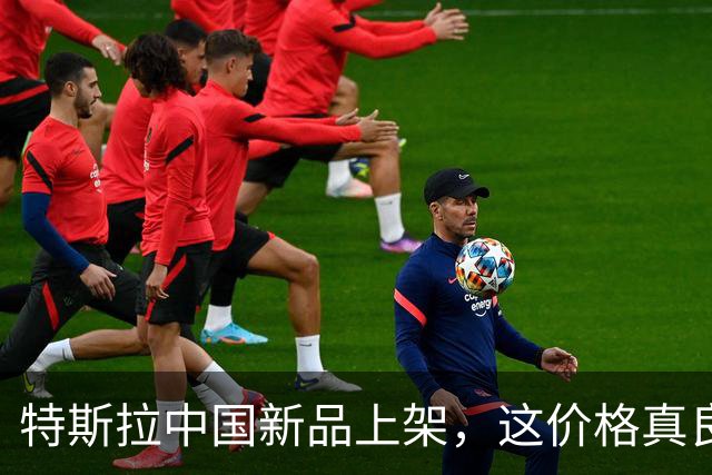 特斯拉中国新品上架，这价格真良心啊！