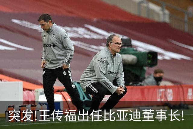 突发!王传福出任比亚迪董事长!