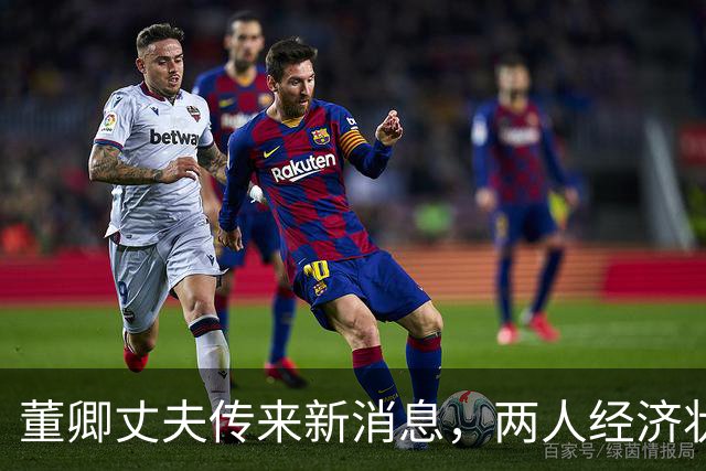董卿丈夫传来新消息，两人经济状况曝光，往后日子满是考验