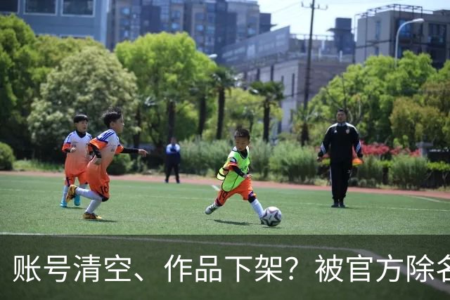 账号清空、作品下架？被官方除名4天，董卿再迎噩耗，和王丽坤一样