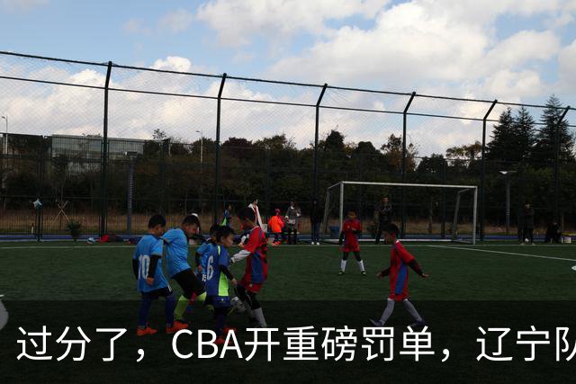 过分了，CBA开重磅罚单，辽宁队两人被处罚，球迷真绷不住了