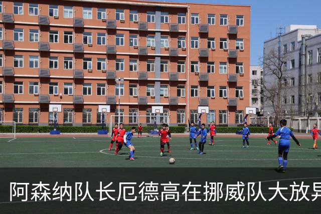 阿森纳队长厄德高在挪威队大放异彩，挪威对阵丹麦，送出两次助攻