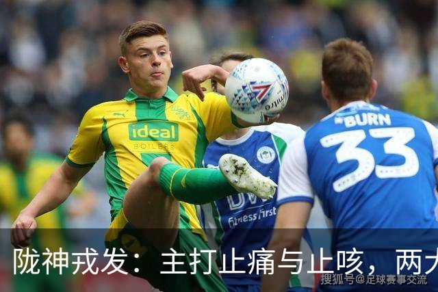 陇神戎发：主打止痛与止咳，两大独家中药保护品种构筑壁垒！